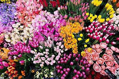 《星空》Steam峰值艰难突破30万 官方MOD工具2024年上线