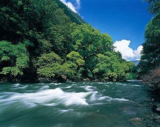 《HoloCure》上架steam 日式像素风格肉鸽动作新游