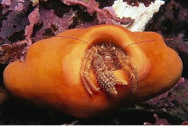 国产长篇视觉小说《欢迎加入奇趣社》正式定档4月27日